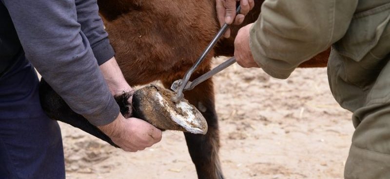 bigstock 190383871 e1500494117189