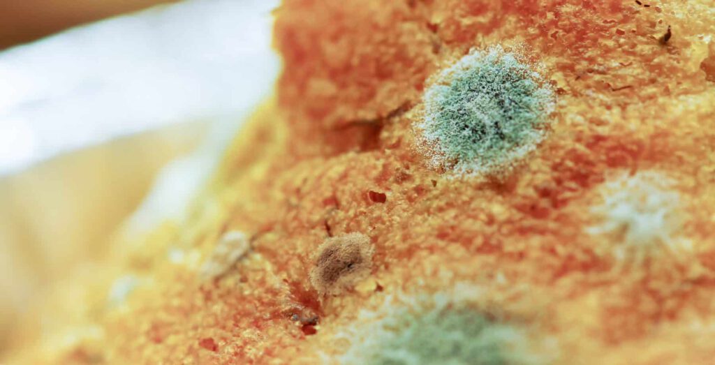 food poisoning contamination