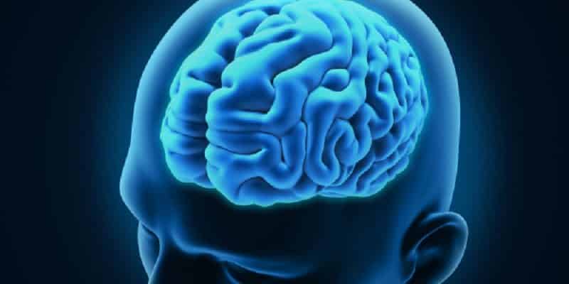 personal injury brain injury napoli law