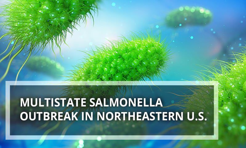 Multistate Salmonella Outbreak in Northeastern US jpg